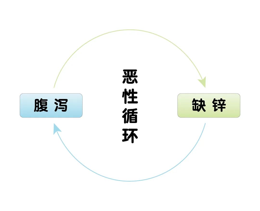 宝宝腹泻期间，，，为什么要补锌？？？